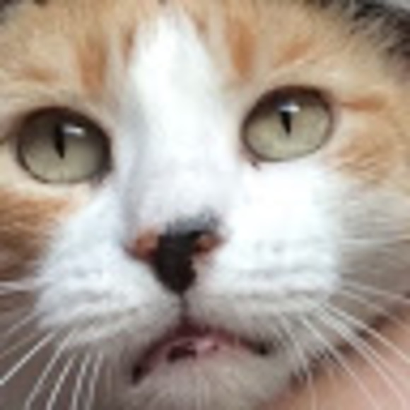 Meet your Posher, Drew - Picture 1 of 1